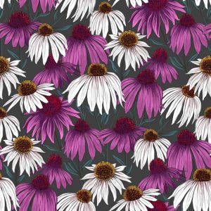 Flower Market - Echinacea